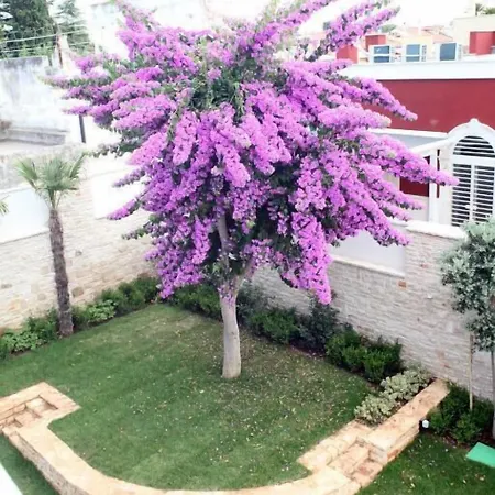 לינה וארוחת בוקר Pina