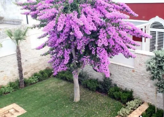 Alojamento de Acomodação e Pequeno-almoço Pina
